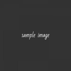 動作確認用テスト商品